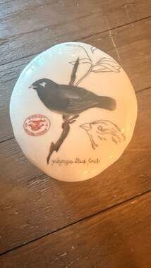 Homart Natural History Galapagos Black Finch Porcelain Trinket Box
